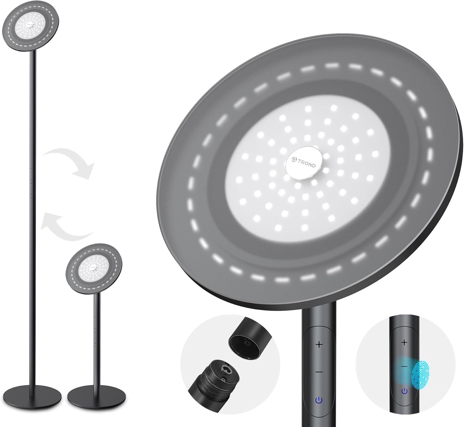 Lamps & Shades