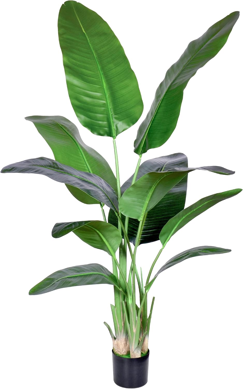 Artificial Plants & Flowers