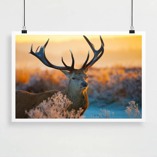 Personalized Custom Poster Prints: 8L x 12W Photo On Canvas Transform Your Photos into Stunning Unframed Wall Art Digitally Printed (8L x 12W, Unframed)
