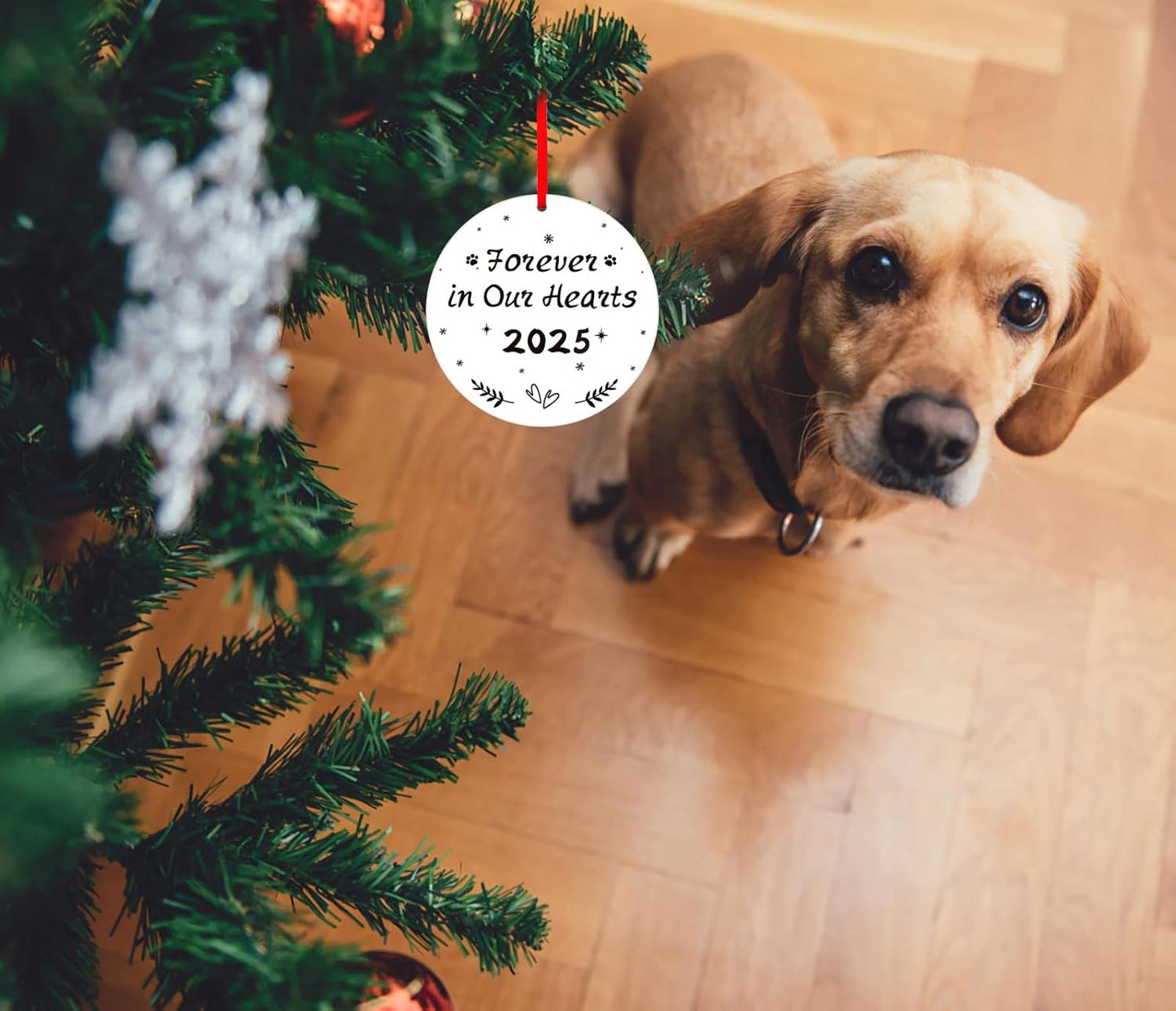 WaaHome Picture Frame Dog Memorial Christmas Ornaments 2025 - Forever in Our Hearts Pet Memorial Ornaments for Christmas Tree, Pet Sympathy Remembrance Gifts for Loss of Dogs Cats Pets