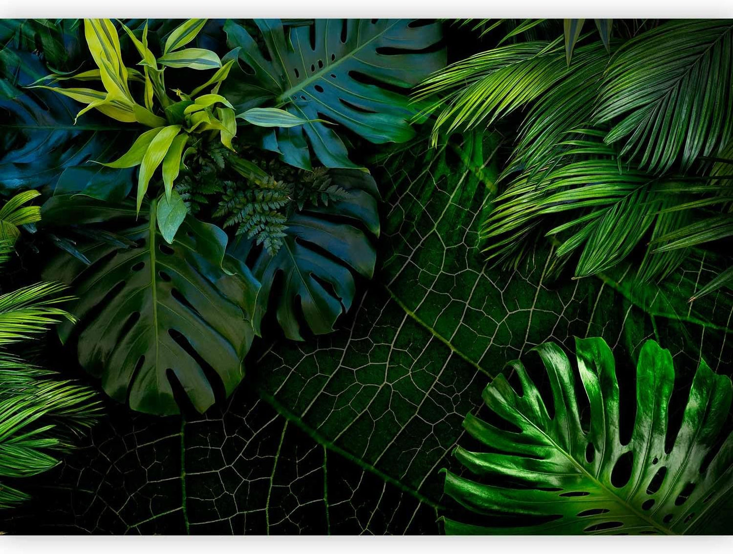 artgeist Premium Wall Mural Tropical 177x124 in - XXL Non-Woven Wallpaper Fleece Wall Decor Photo Print Picture Image Design Home b-C-0224-a-a