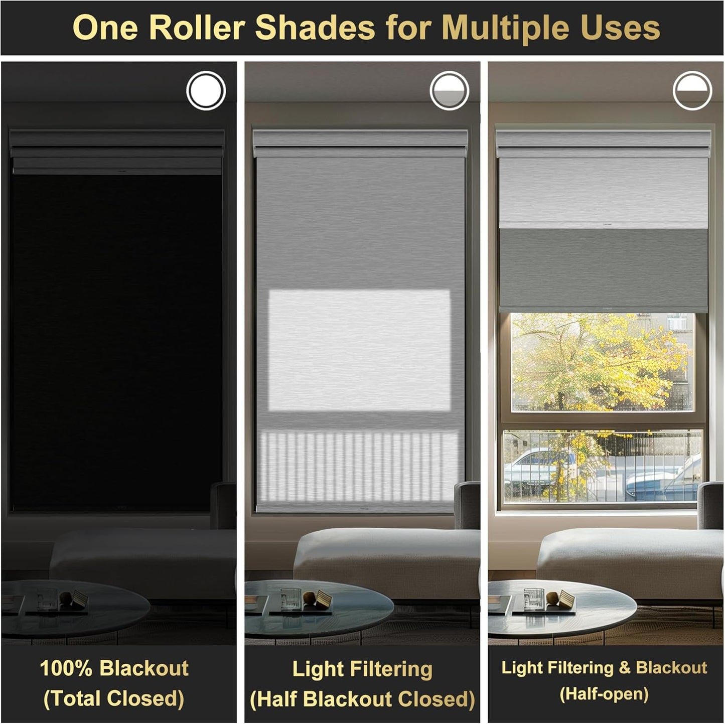 BERISSA Cordless Dual Roller Shades with Cassette Valance,Double Window Shades Blackout and Light Filtering Shades,Day and Night Roller Shades for Home Office Door.Grey and White.67 W x 44" H
