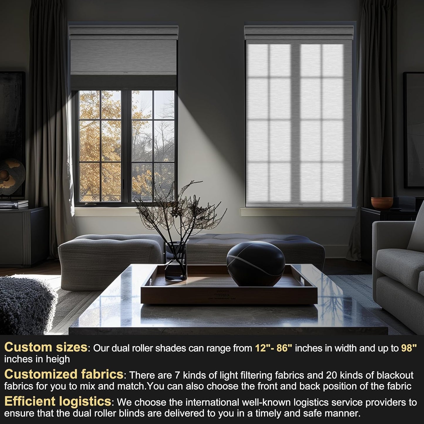 BERISSA Cordless Dual Roller Shades with Cassette Valance,Double Window Shades Blackout and Light Filtering Shades,Day and Night Roller Shades for Home Office Door.Grey and White.45 W x 48" H